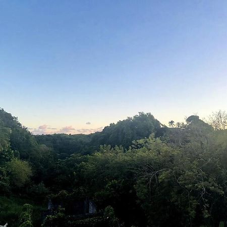 L'Ecrin De Verdure Sainte-Anne  Εξωτερικό φωτογραφία