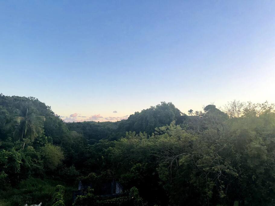 L'Ecrin De Verdure Sainte-Anne  Εξωτερικό φωτογραφία